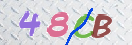 キャプチャ画像