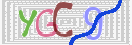 キャプチャ画像